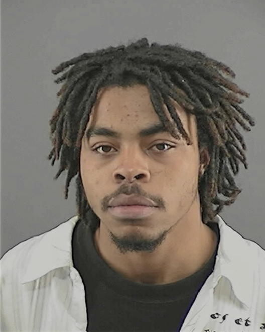 ERVING, TROY T - Peoria County, IL
