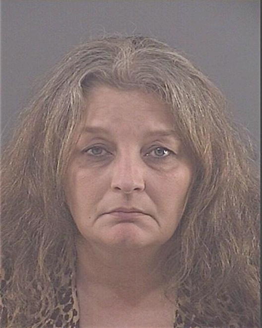 JOHNSON, TAMMY J - Peoria County, IL