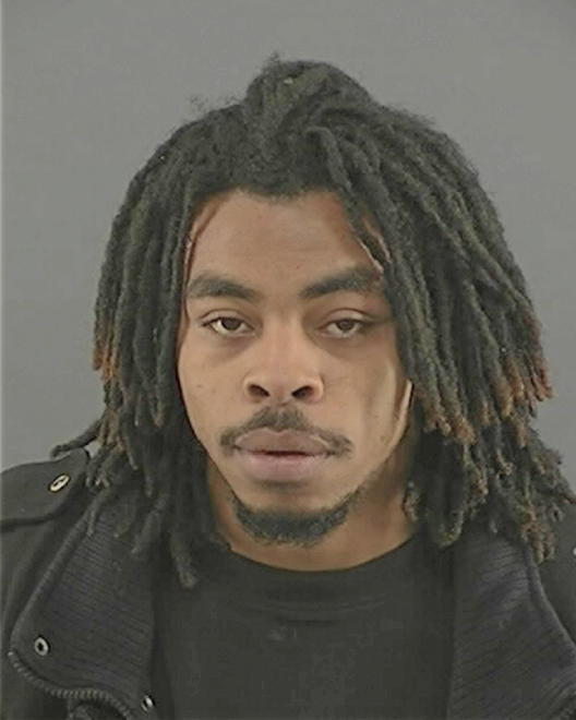 ERVING, TROY T - Peoria County, IL