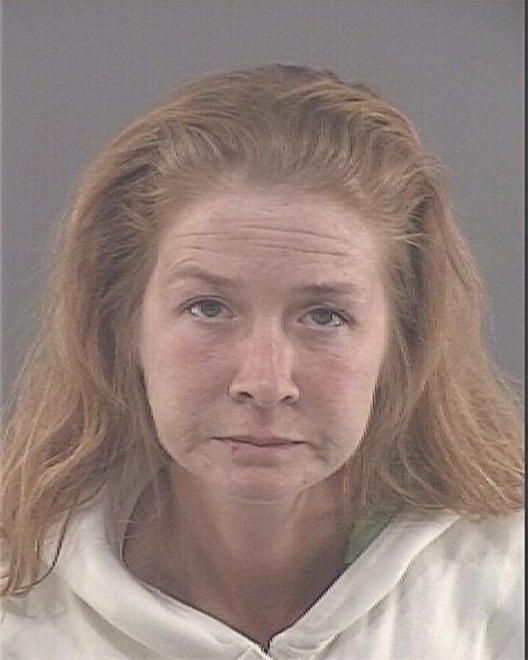 LAVOIE, MISTY D - Peoria County, IL