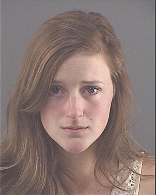 SHEPHERD, JESSICA N - Peoria County, IL