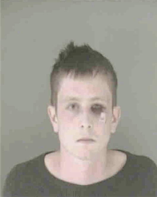 WILLIS, JOSHUA J - Peoria County, IL