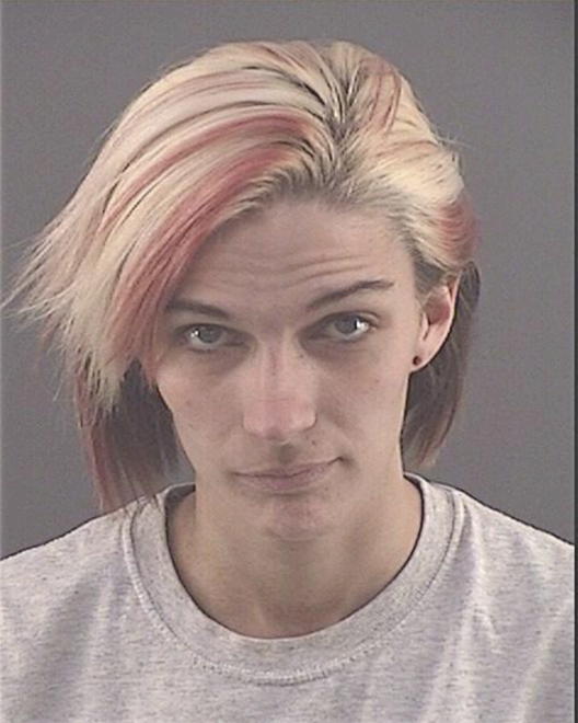 BROWN, JAMIE LEIGH - Peoria County, IL