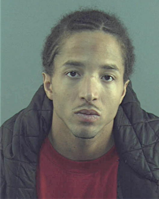 WILDER, DAVELLE MAURICE - Peoria County, IL