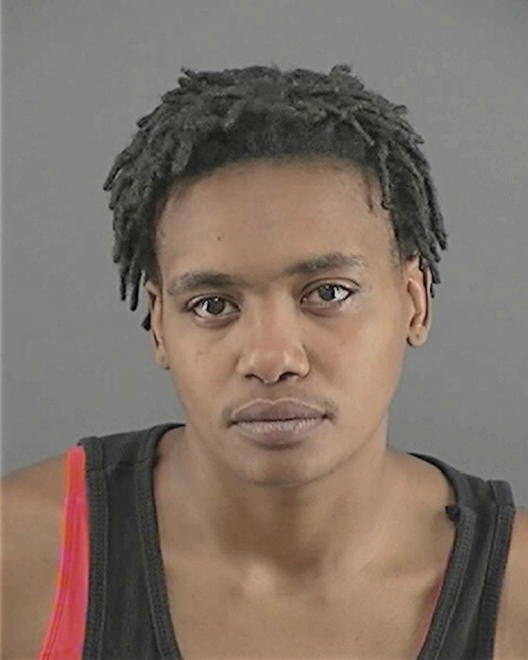 ERVING, SHELSEA S - Peoria County, IL