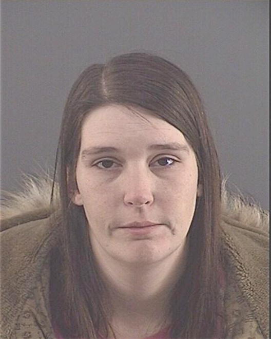 LASHBROOK, NICOLE LYN - Peoria County, IL