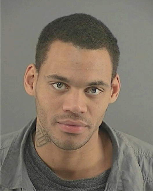 POLNITZ, SYLVESTER MICHAEL - Peoria County, IL