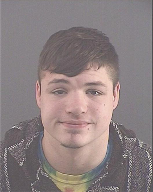 TYLER, ZACHARY D - Peoria County, IL