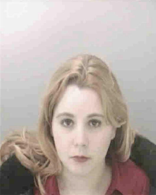 WILLIAMSON, MELISSA LYNN - Peoria County, IL
