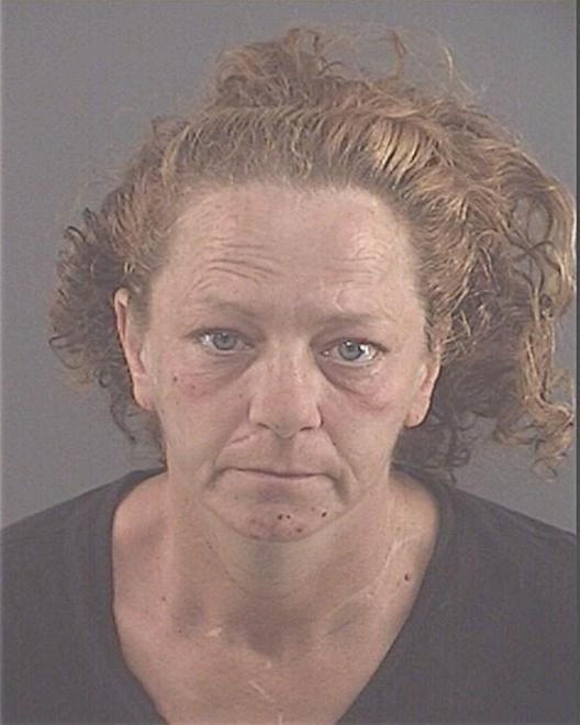YEDINAK, THERESA LYNN - Peoria County, IL