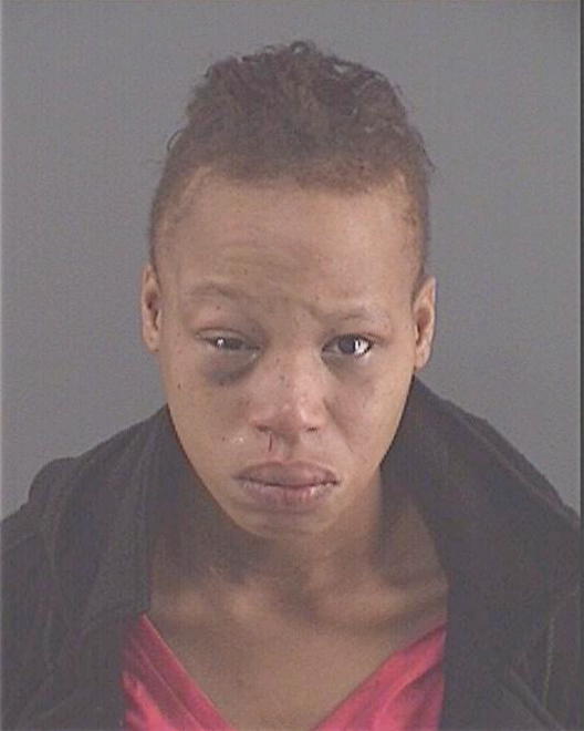 LEE, TIGA M - Peoria County, IL
