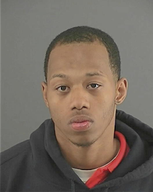 POLNITZ, BRANDON J - Peoria County, IL