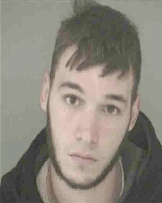 WISENBURG, RANDY JR - Peoria County, IL