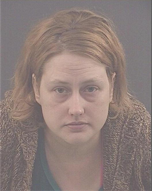 SCHLOSSER, DARA C - Peoria County, IL