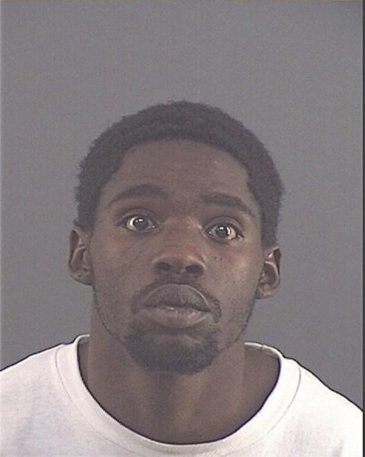 SNELL, LEE ANDREW - Peoria County, IL