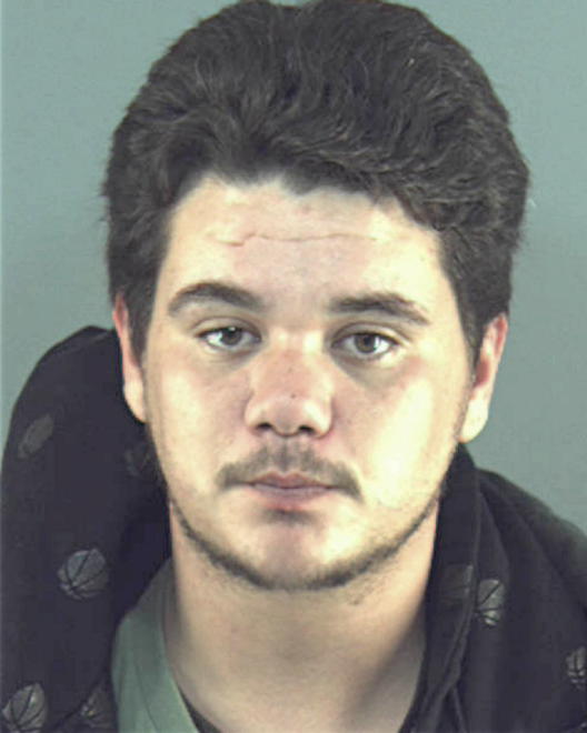 ROYER, BRANDON CODY - Peoria County, IL