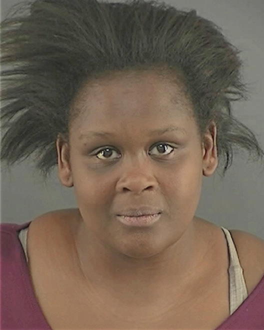 HOLLINS, NAKESIA L - Peoria County, IL