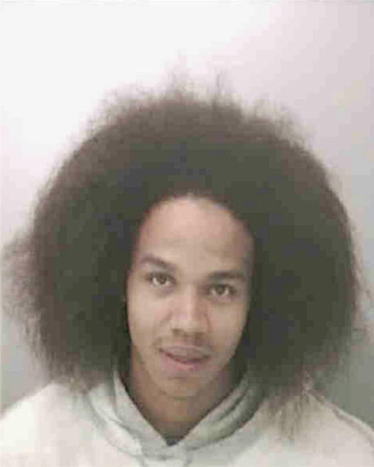 STONE, FRANKIE LEE - Peoria County, IL