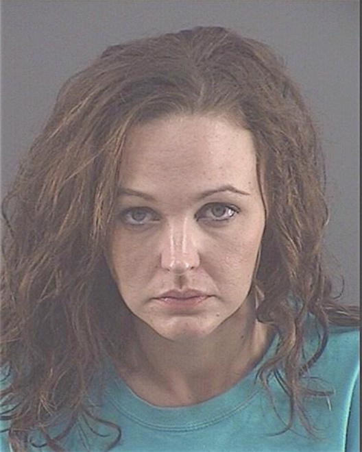TURNER, APRIL MICHELLE - Peoria County, IL