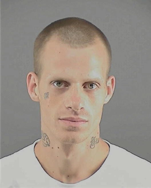 HAGEMAN, JUSTIN M - Peoria County, IL
