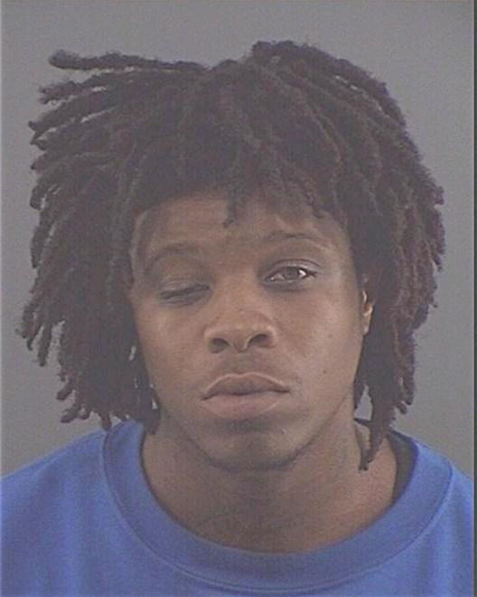 MCNEAL, MICHAEL ANTHONY - Peoria County, IL