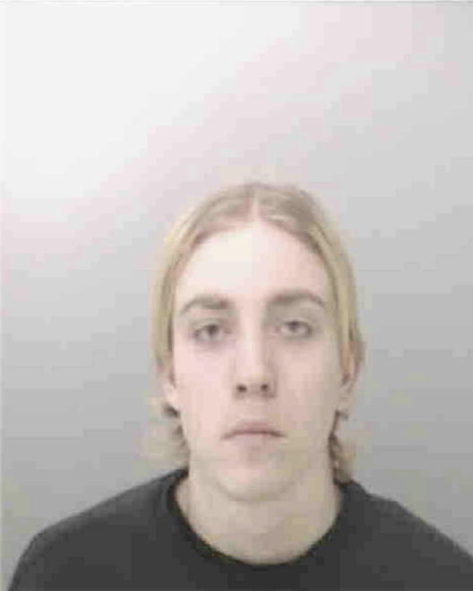 EMMER, PATRICK CHARLES - Peoria County, IL