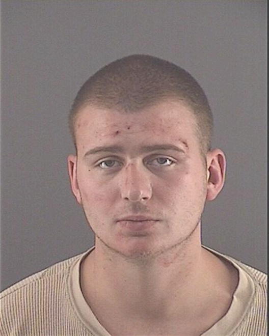STARNES, BRANDON C - Peoria County, IL