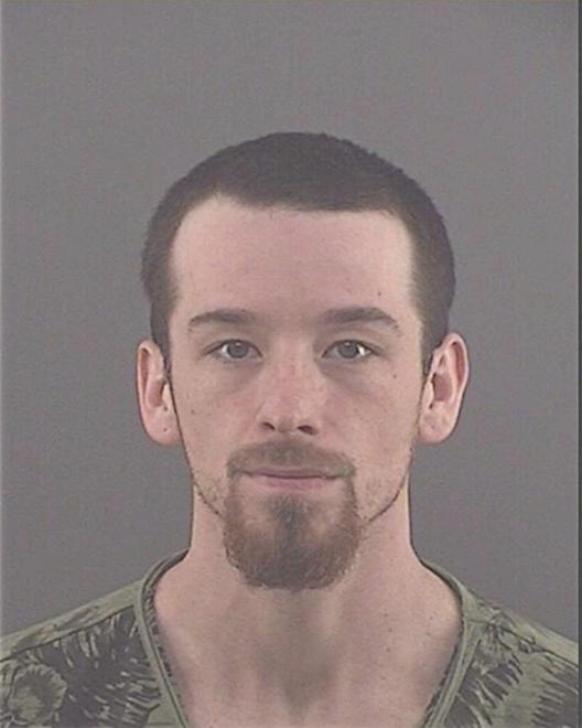 HESS, RYAN MICHAEL - Peoria County, IL