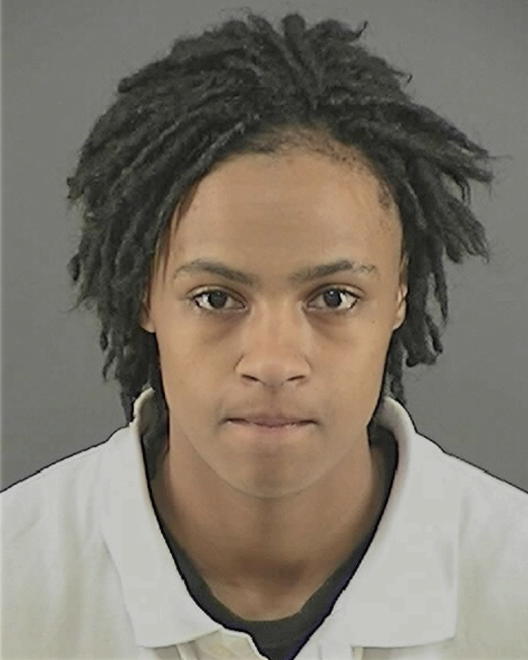 NELSON, ERICA RENEE - Peoria County, IL