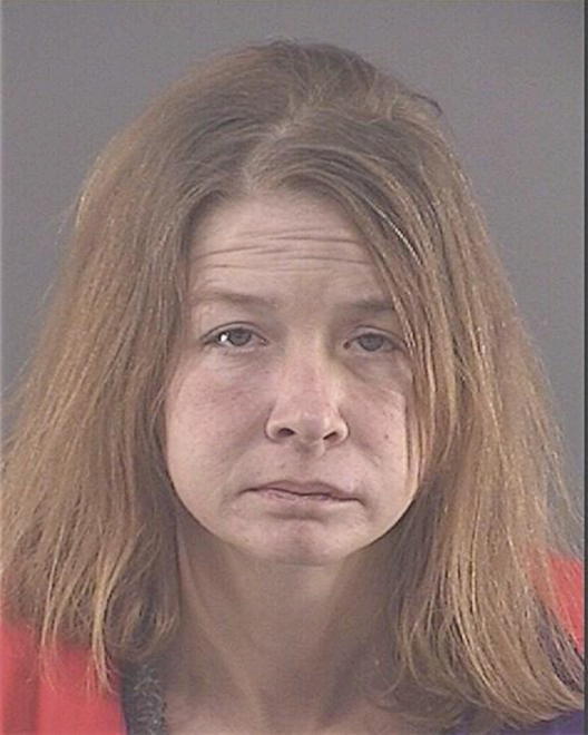 LAVOIE, MISTY D - Peoria County, IL