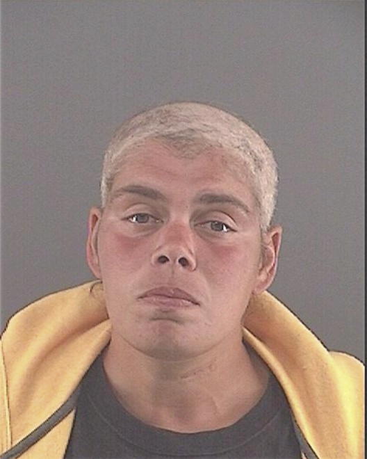 WALKER, VANESSA MARIE - Peoria County, IL