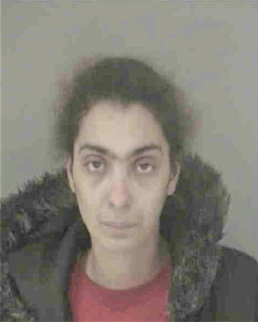 YOUNG, DENISE Y - Peoria County, IL