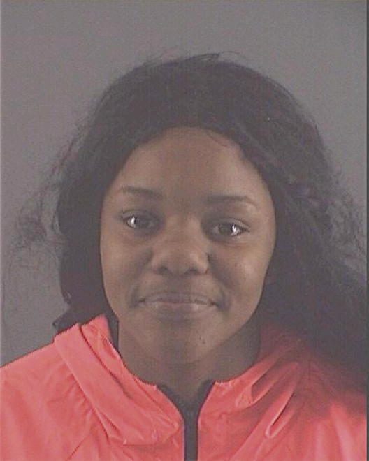 JOHNSON, GANALA T - Peoria County, IL