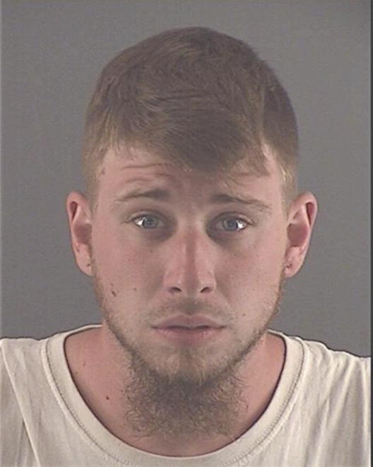NELSON, DANIEL C - Peoria County, IL