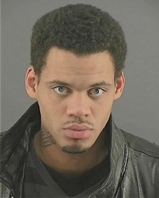 POLNITZ, SYLVESTER MICHAEL - Peoria County, IL