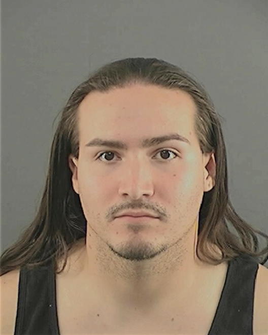 RAYDON, BRIAN WAYNE - Peoria County, IL