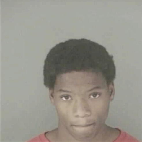 SMITH, BRANDON LEE - Peoria County, IL