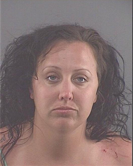 STALEY, MELISSA NICHOLE - Peoria County, IL