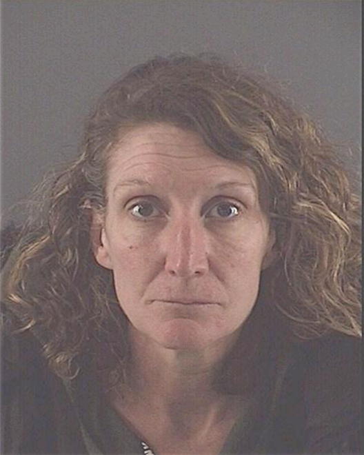 DENNISON, TAMMY LEA - Peoria County, IL