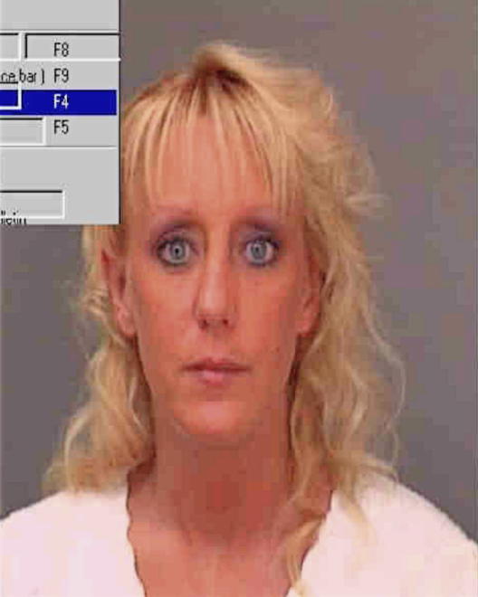 LARKIN, TAMMY MARIE - Peoria County, IL
