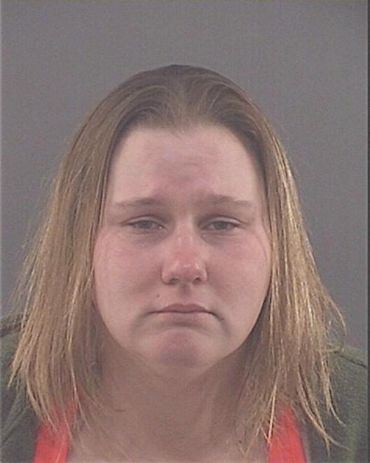 MOSER, LISA MARIE - Peoria County, IL