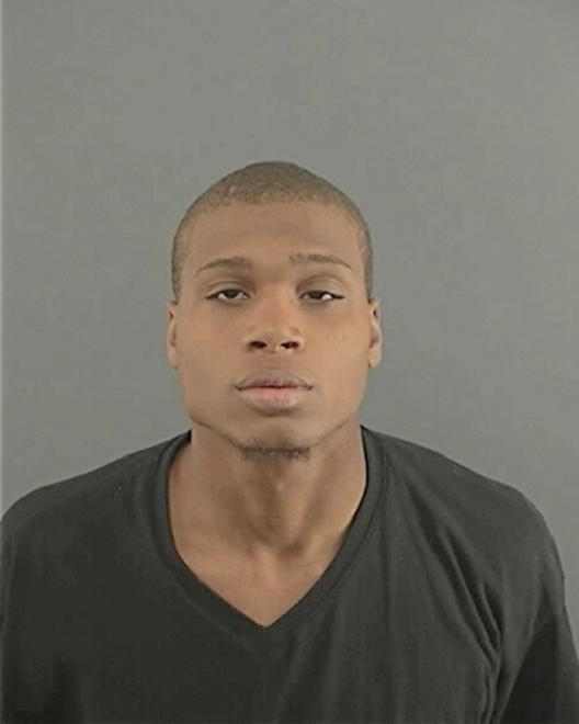 DUDLEY, LAVEL MICKEY - Peoria County, IL