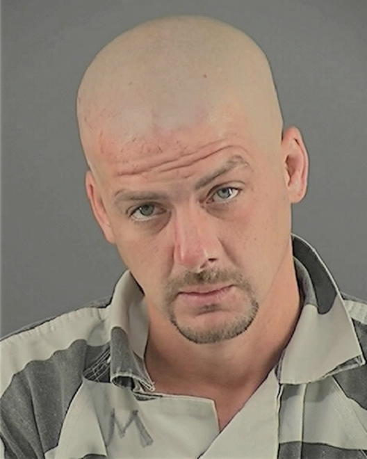 HANKINS, MICHAEL LAWRENCE - Peoria County, IL