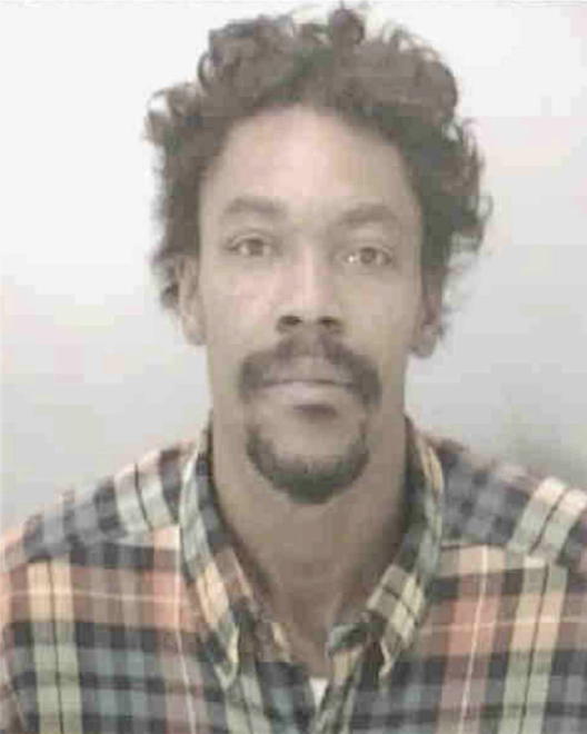 LEE, MICHAEL JEROME - Peoria County, IL