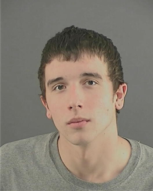 MAYER, BRANDON MICHAEL - Peoria County, IL