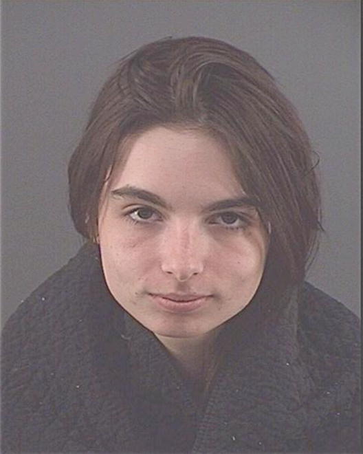 ZIMMERMAN, AMANDA NICOLE - Peoria County, IL