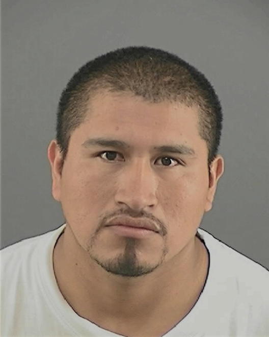 FLORES, SERGIO - Peoria County, IL
