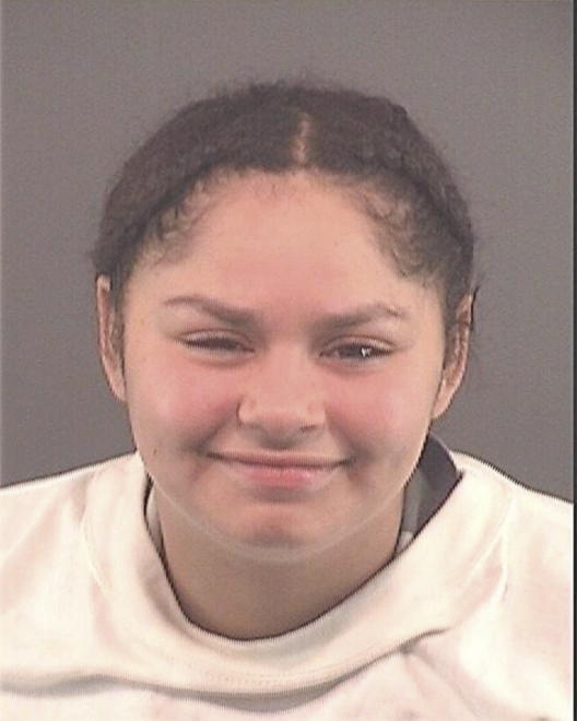 LOWANDE, TORIONNA L - Peoria County, IL