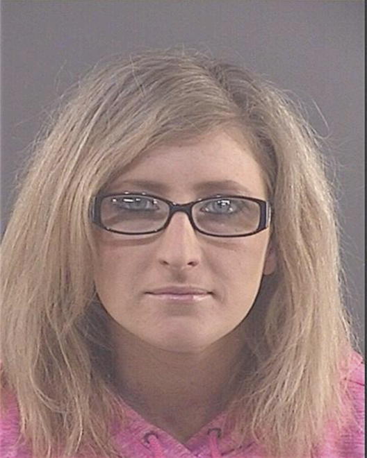 DAILY, SHELLIE L - Peoria County, IL