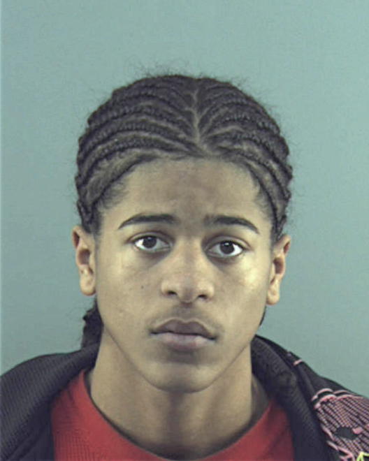 JOHNSON, BENTAVIUS LEE - Peoria County, IL